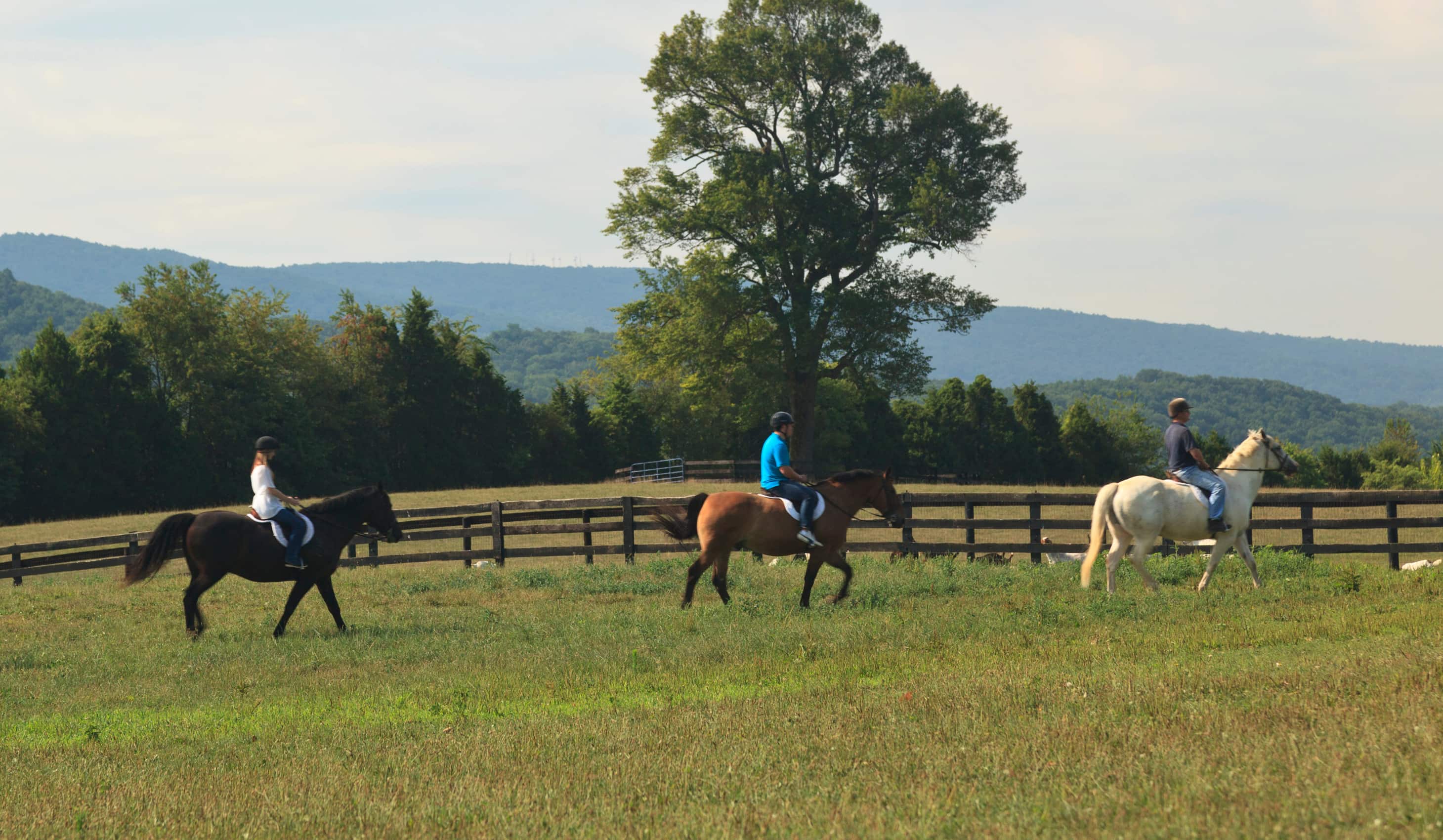 Horseback riding in North Virginia countryside