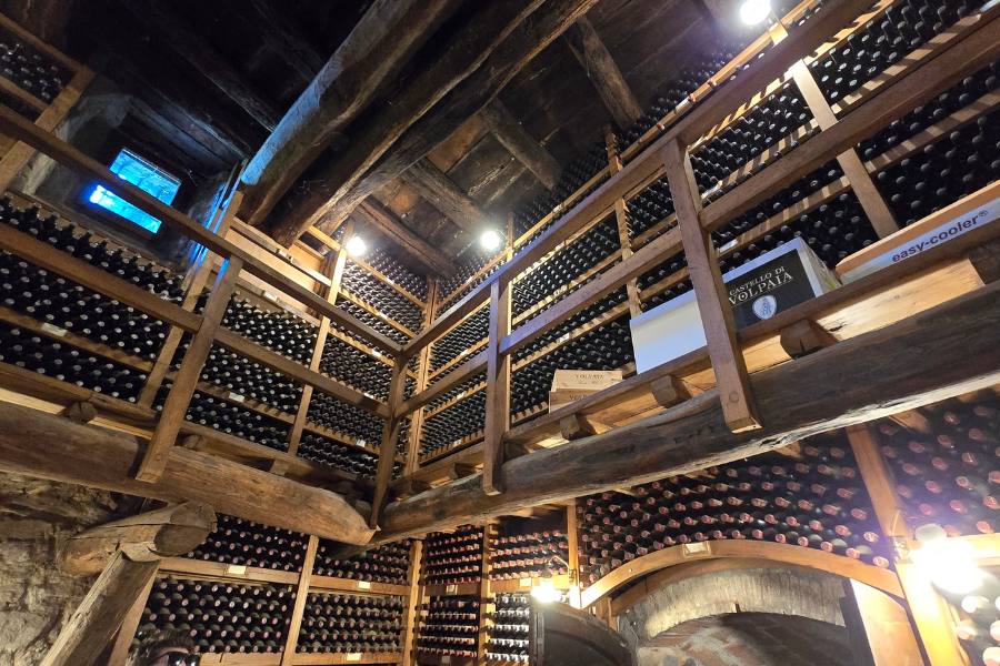 Rows of wine bottles being stored