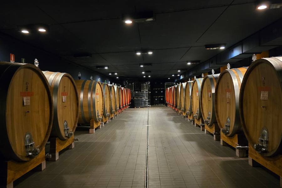 Two rows of wine barrels with a path to walk between them in a storage building.