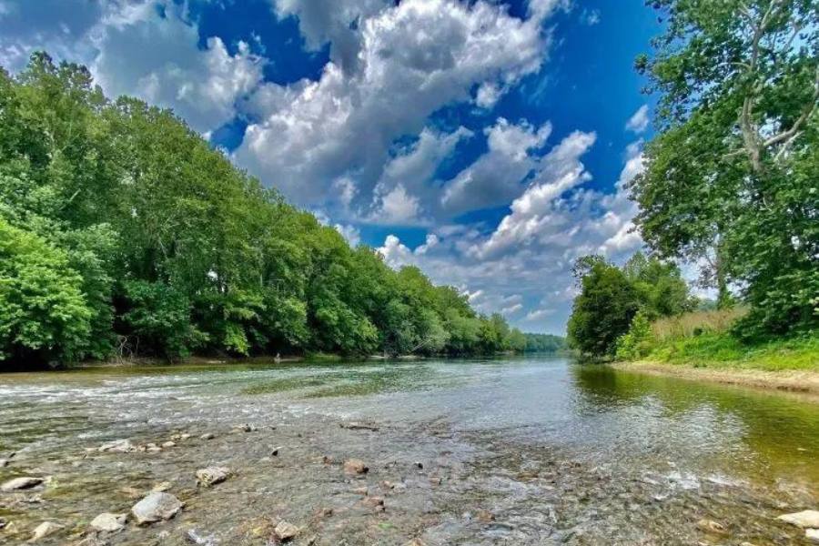 River running through green trees with a blue sky