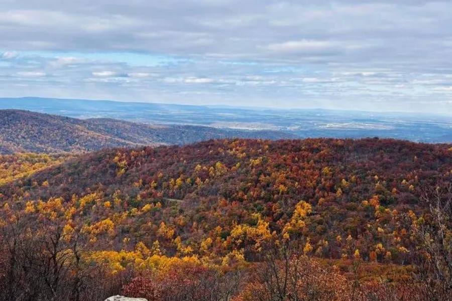 Scenic view of Shenandoah Mountains in fall