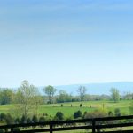 Virginia Bed and Breakfast