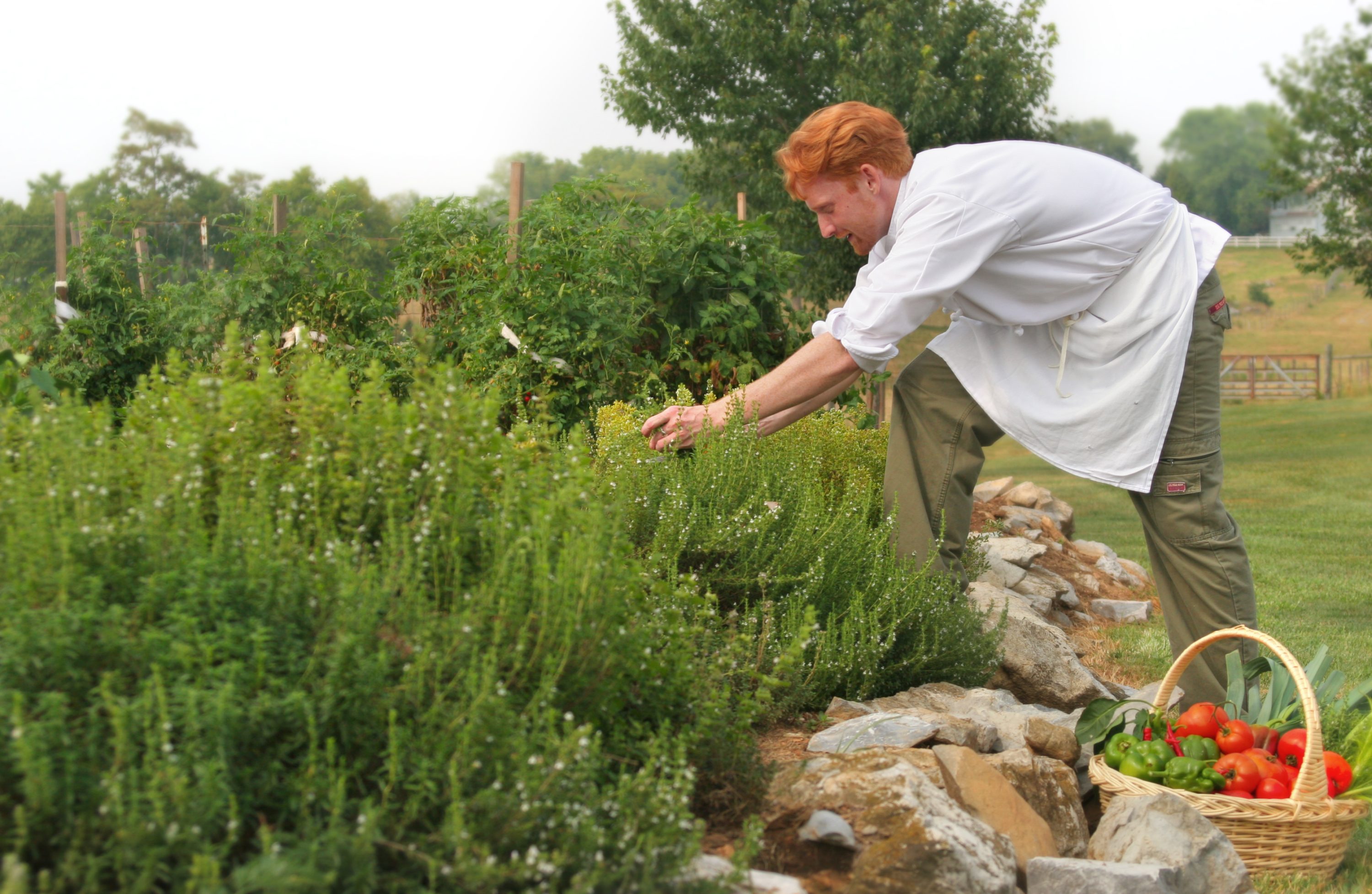 jumping-rocks-pictures-aug-2006-001 Chef in the garden - Summer in the Shenandoah Valley