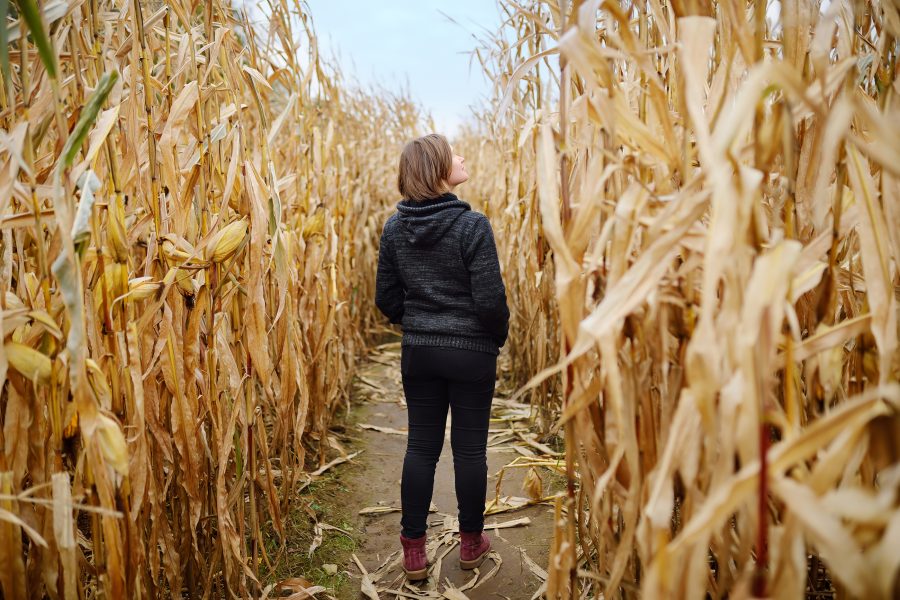 corn maze on a Shenandoah fall getaway