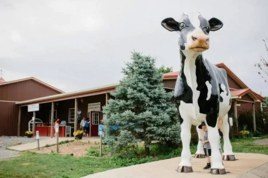 Large cow statue in front of a barn at Great Country Farm